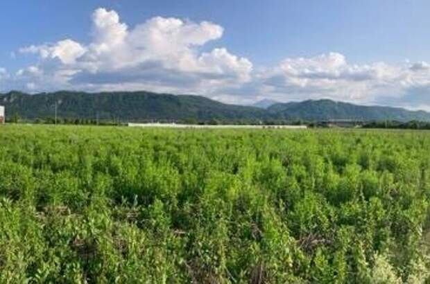 Gewerbeobjekt mieten in 9020 Klagenfurt (Bild 2)