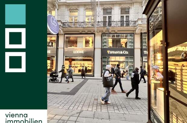 Einzelhandel mieten in 1010 Wien (Bild 1)