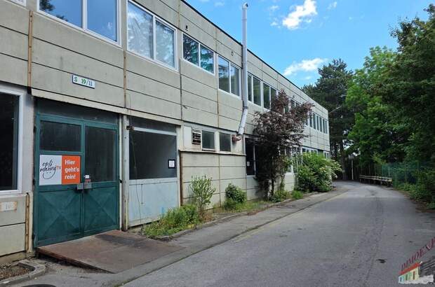 Büro / Praxis mieten in 2514 Traiskirchen (Bild 2)