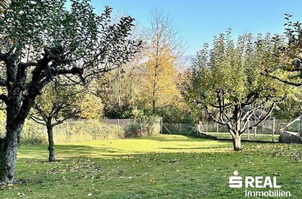 Haus kaufen in 4040 Linz (Bild 3)