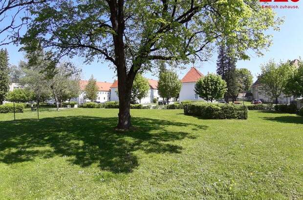 Mietwohnung in 4400 Steyr (Bild 2)