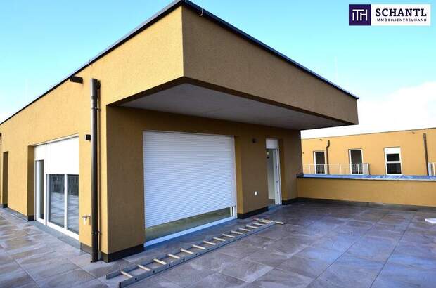 Terrassenwohnung kaufen in 8401 Kalsdorf (Bild 4)