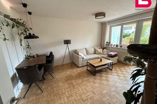 Wohnung mieten in 4560 Kirchdorf (Bild 4)