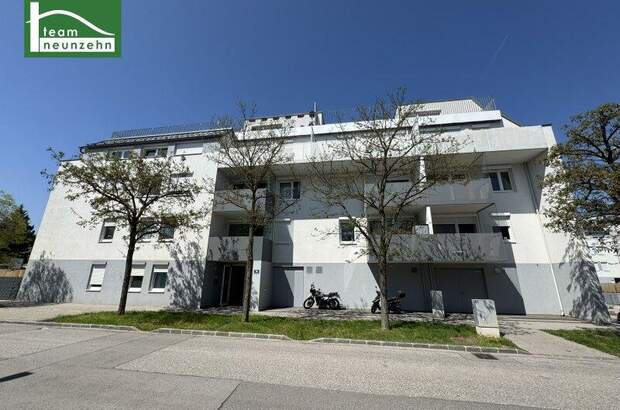 Wohnung mieten in 2700 Wr. Neustadt (Bild 4)