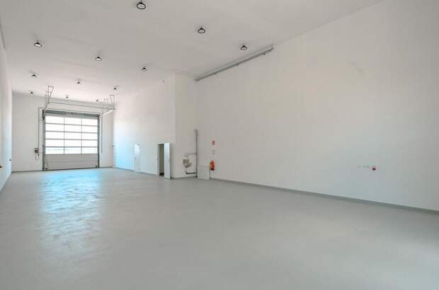 Gewerbeobjekt mieten in 2486 Pottendorf (Bild 4)