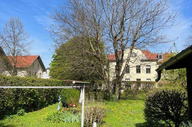 Gewerbeobjekt mieten in 4644 Scharnstein (Bild 2)