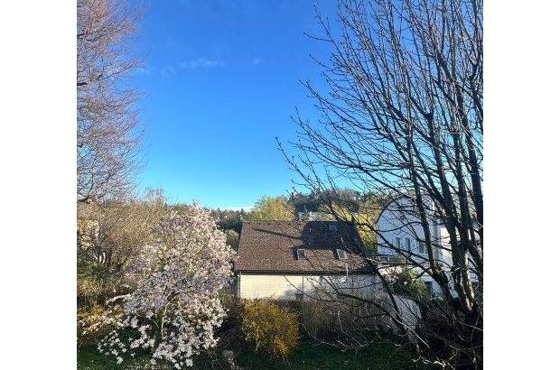 Haus kaufen in 4600 Wels (Bild 5)