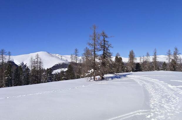 Wohnung kaufen in 9571 Sirnitz (Bild 3)