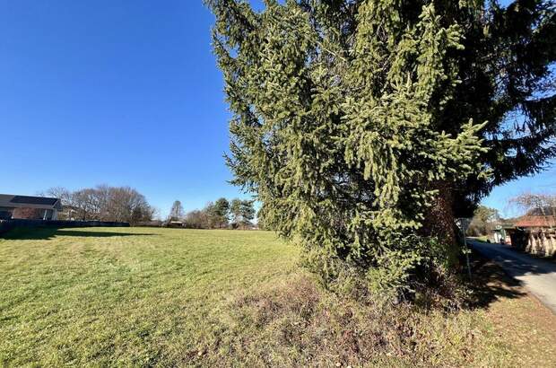 Grundstück kaufen in 7564 Dobersdorf (Bild 2)