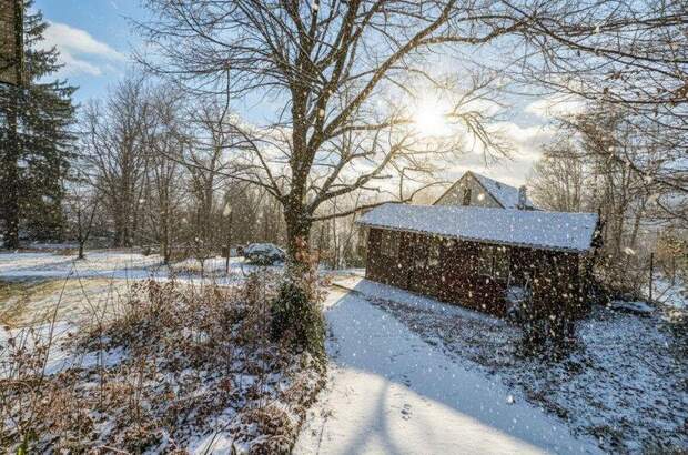 Terrassenwohnung mieten in 3013 Tullnerbach (Bild 5)