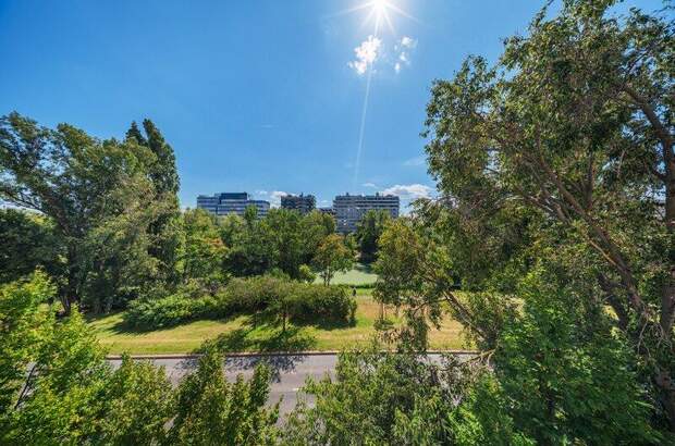 Terrassenwohnung kaufen in 1020 Wien (Bild 4)