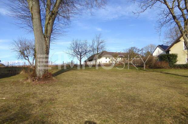 Grundstück kaufen in 4600 Wels (Bild 4)