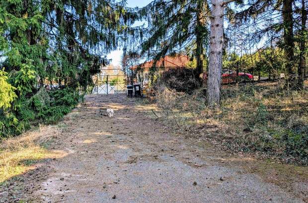 Grundstück kaufen in 3012 Wolfsgraben (Bild 2)