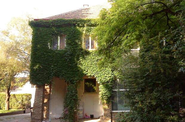 Wohnung mieten in 3430 Tulln (Bild 1)