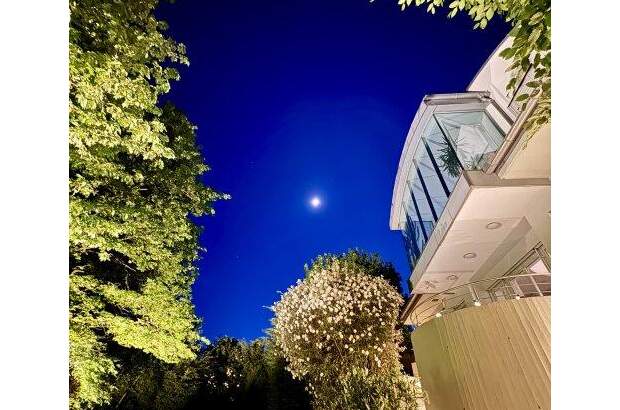 Chalet kaufen in 4600 Wels (Bild 3)