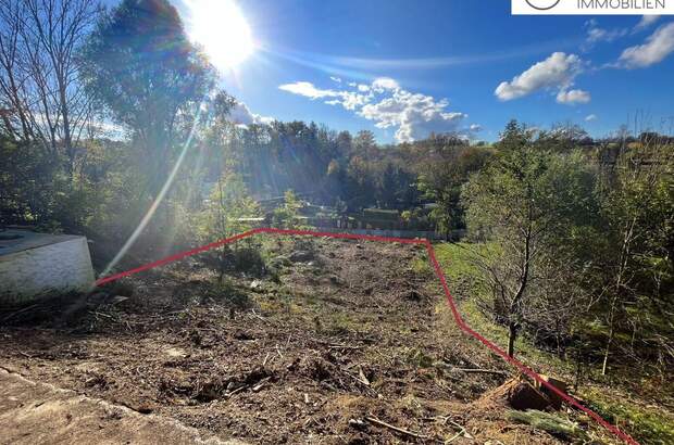 Eigentumswohnung in 4600 Thalheim (Bild 5)