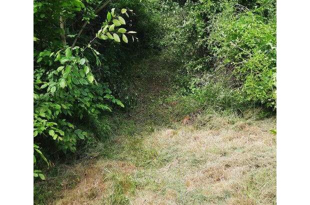 Grundstück kaufen in 3500 Krems (Bild 5)