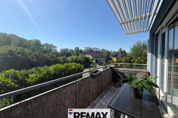 Terrassenwohnung kaufen in 2482 Münchendorf (Bild 1)