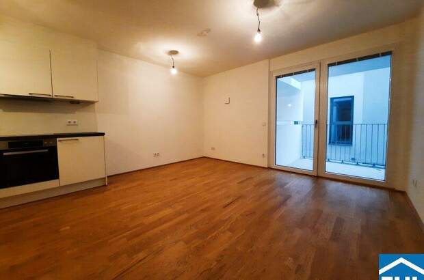 Terrassenwohnung mieten in 1220 Wien (Bild 2)