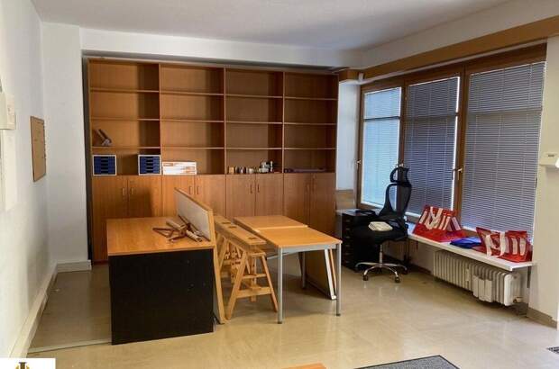Gewerbeobjekt kaufen in 2340 Mödling (Bild 2)
