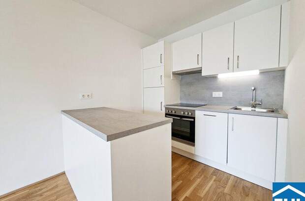 Terrassenwohnung mieten in 1120 Wien (Bild 3)