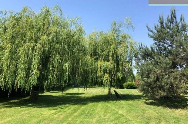 Haus mit Garten kaufen in 9339 Öntesmajor (Bild 2)