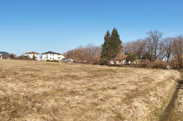 Grundstück kaufen in 9184 St. Jakob (Bild 2)