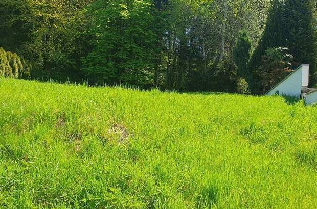 Grundstück kaufen in 6116 Weer (Bild 4)