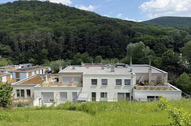 Terrassenwohnung kaufen in 3002 Purkersdorf (Bild 1)