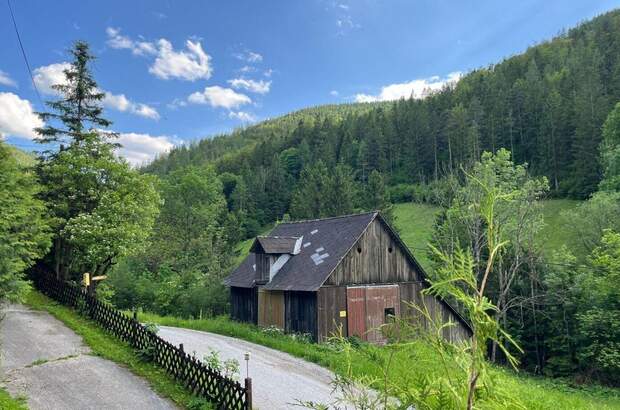 Haus kaufen in 8114 Großstübing (Bild 4)