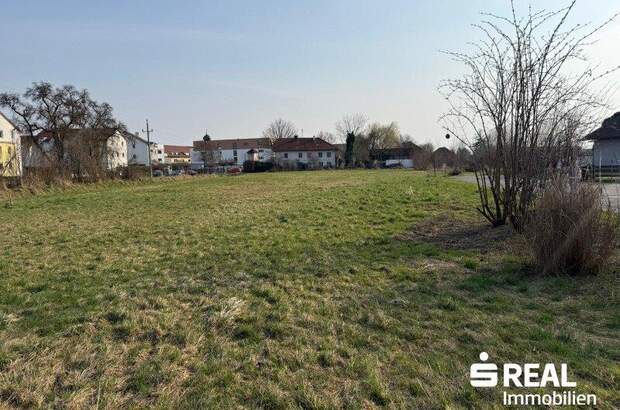 Grundstück kaufen in 4070 Pupping (Bild 5)
