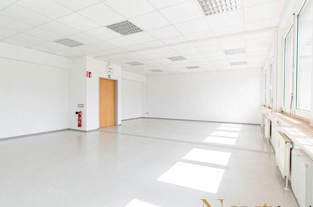 Gewerbeobjekt mieten in 4600 Wels (Bild 4)