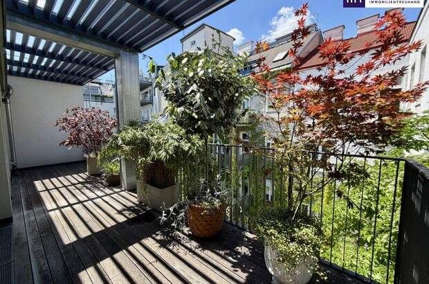 Terrassenwohnung kaufen in 1080 Wien (Bild 4)