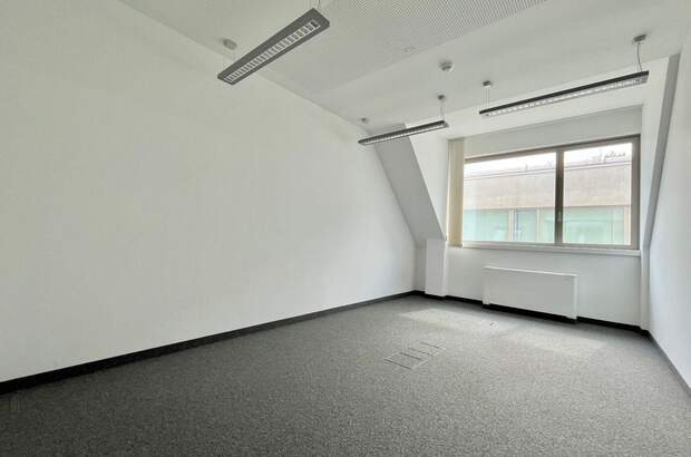 Gewerbeobjekt mieten in 1110 Wien (Bild 4)