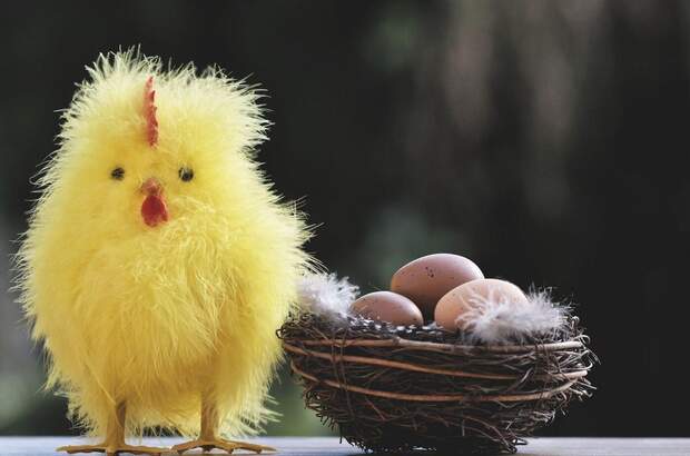 Mietwohnung in 9473 Lavamünd (Bild 1)