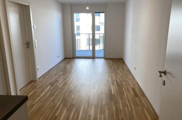 Terrassenwohnung mieten in 1220 Wien (Bild 3)