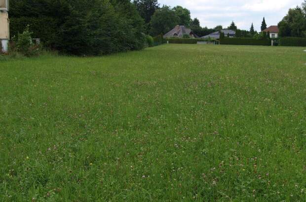 Grundstück kaufen in 5020 Salzburg