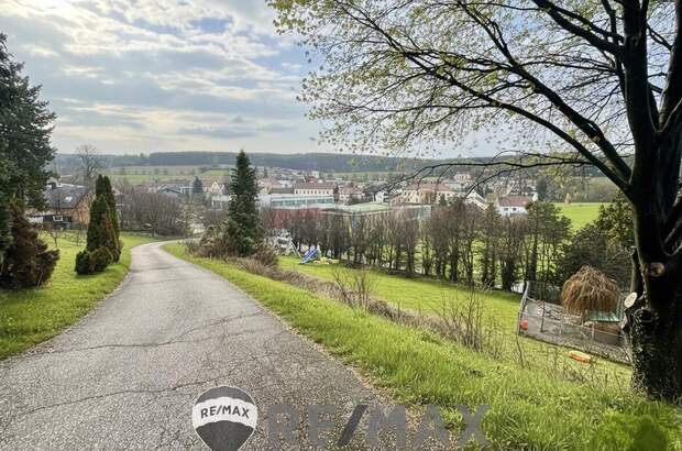 Einfamilienhaus kaufen in 2632 Grafenbach (Bild 2)