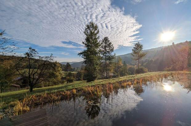 Einfamilienhaus kaufen in 3021 Pressbaum (Bild 4)