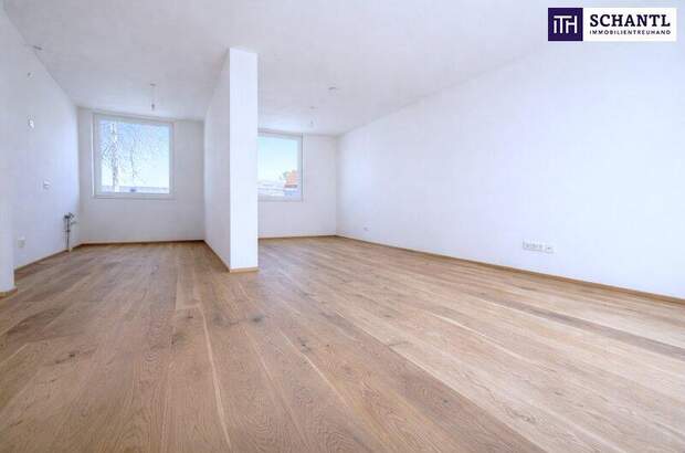 Terrassenwohnung kaufen in 2514 Traiskirchen (Bild 1)