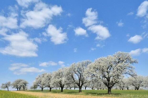 Grundstück kaufen in 9587 Riegersdorf (Bild 1)