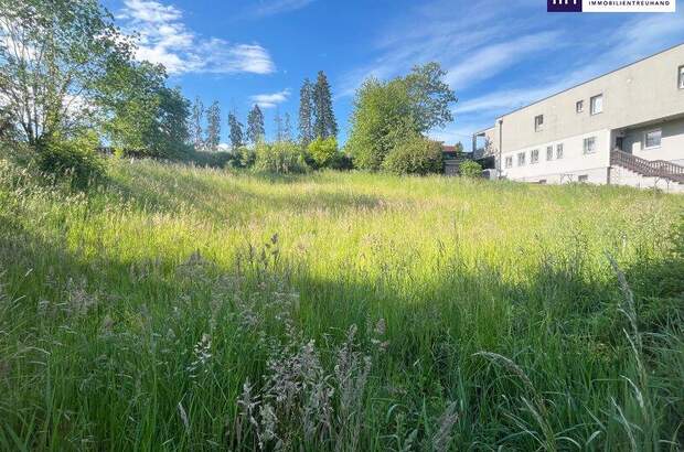 Terrassenwohnung kaufen in 8042 Graz (Bild 5)