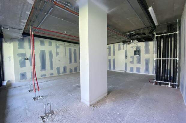 Gewerbeobjekt mieten in 1220 Wien (Bild 3)