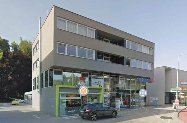 Gewerbeobjekt mieten in 4600 Thalheim (Bild 2)