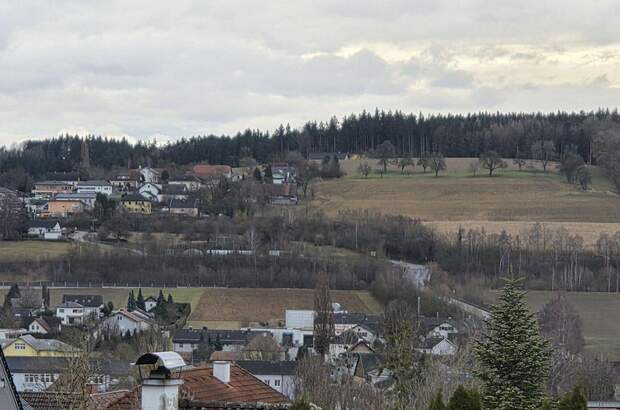 Grundstück kaufen in 4632 Pichl (Bild 3)