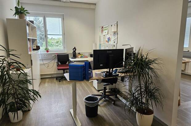 Gewerbeobjekt mieten in 8073 Feldkirchen (Bild 2)