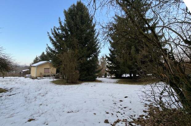 Gewerbeobjekt kaufen in 4060 Leonding (Bild 4)