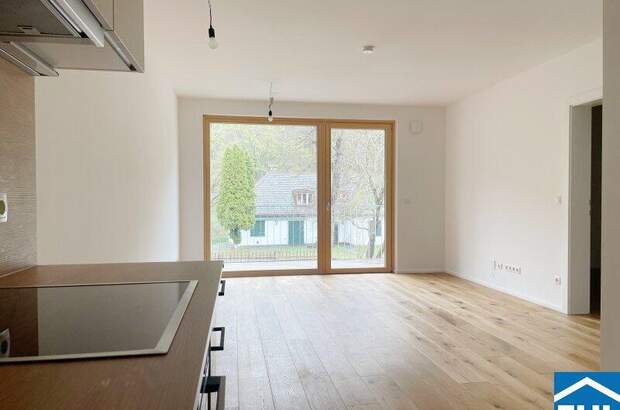 Terrassenwohnung kaufen in 2391 Kaltenleutgeben (Bild 3)