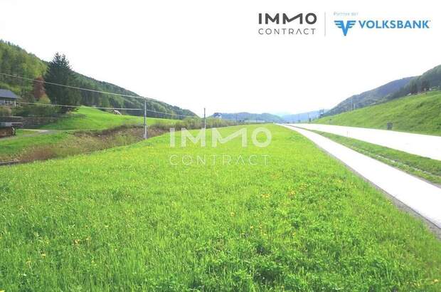 Grundstück kaufen in 3334 Gaflenz