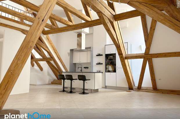 Terrassenwohnung mieten in 1010 Wien (Bild 5)